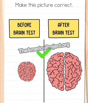 Brain Test 4 Level 298 Answer